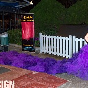 _DSC8249.jpg